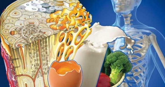 بهترین غذاها برای تقویت استخوان