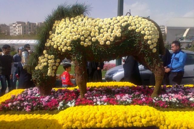 نمایش 550 گونه گیاه در جشنواره گل‌های زینتی پاییزه