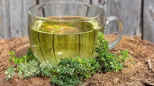 عرقیات گیاهی و فواید آنها (1)
