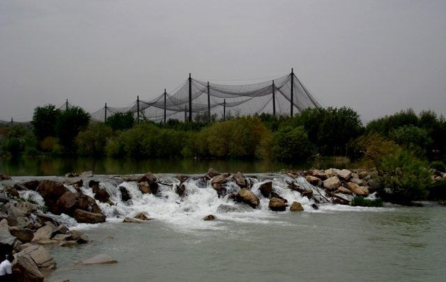 معرفی باغ پرندگان اصفهان