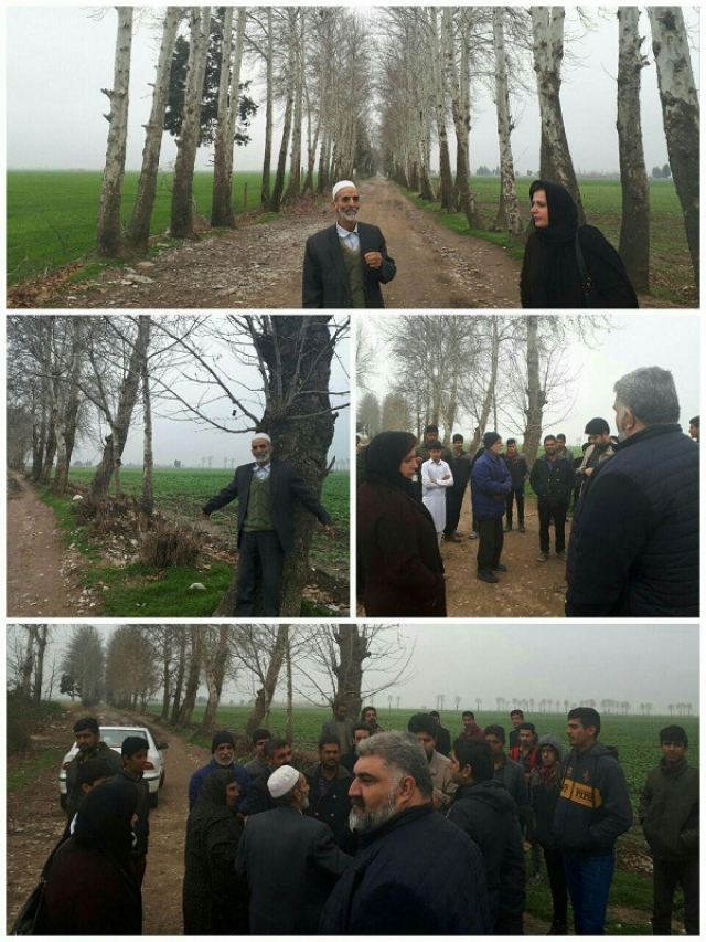 مقاومت مردم روستای شرکت صحرای در مینودشت در برابر قطع درختان 50 ساله