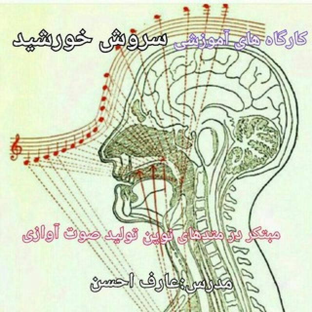 کانال آموزش موسیقی صدا و آواز