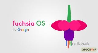 سیستم عامل FUCHSIA ؛ جایگزین احتمالی اندروید