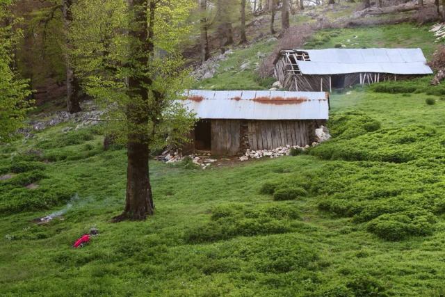 گزارش تصویری/ در مسیر کوه درفک