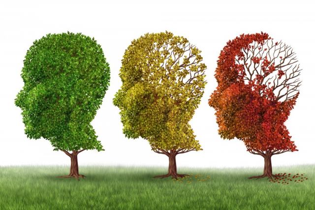 آیا این میوهها از آلزایمر پیشگیری میکنند؟