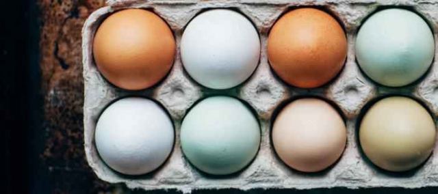 مصرف روزانه تخم مرغ ممکن است به سلامت قلب و عروق کمک کند!