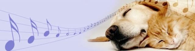 رابطه موسیقی بر گیاهان و حیوانات