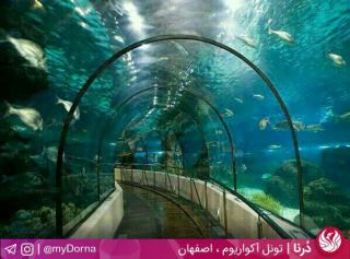 تونل آکواریوم; دنیای زیر آب برای تماشای ماهی های زیبا