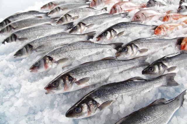 برای طول عمر بیشتر، ماهی بخورید - مقالات سلامتی