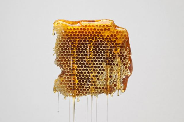 تشخیص عسل طبیعی از عسل تقلبی با 4 روش