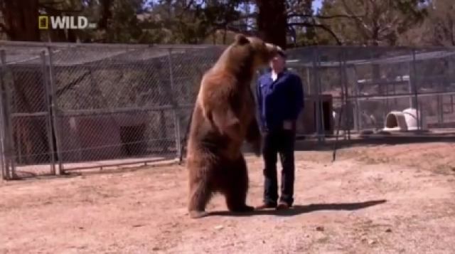 حمله وحشتناک خرس به انسان