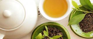 چای سبز فواید، مضرات و بهترین روش مصرف چای سبز