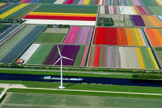 کشاورزی در هلند؛ وقتی فناوری جای خالی خاک را پر می‌کند