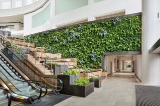 خلق یک دیوار سبز در یک فضای تجاری