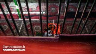 لزوم رعایت نکات ایمنی در تکایا و هیات های عزاداری