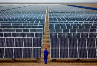 15 هکتار زمین نی ریز در اختیار مزرعه خورشیدی