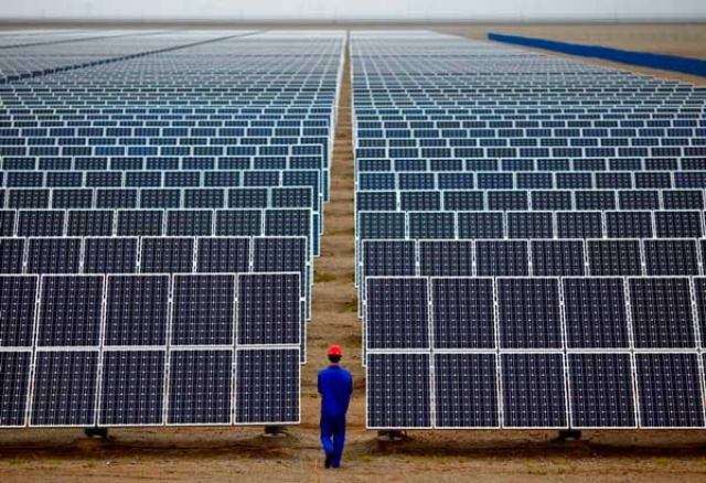 15 هکتار زمین نی ریز در اختیار مزرعه خورشیدی