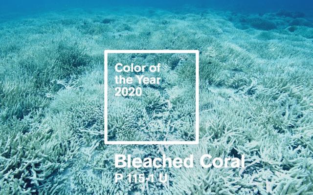 رنگ سال 2020 سفید مرجانی