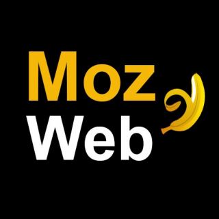 شرکت طراحی سایت موز وب -بازاریابی اینترنتی -افزایش فروش سایت
