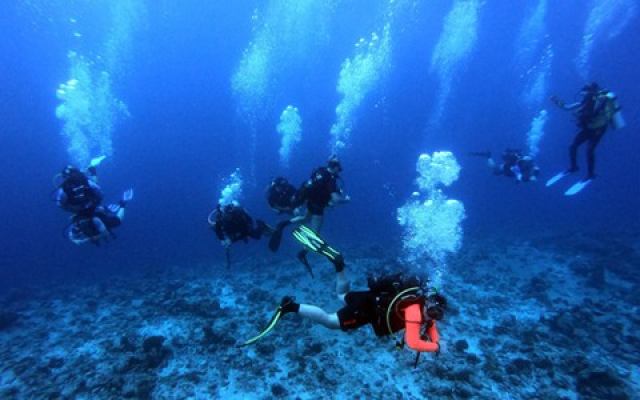 ویژگی های مورد نیاز برای کار کردن به عنوان PADI Divemaster