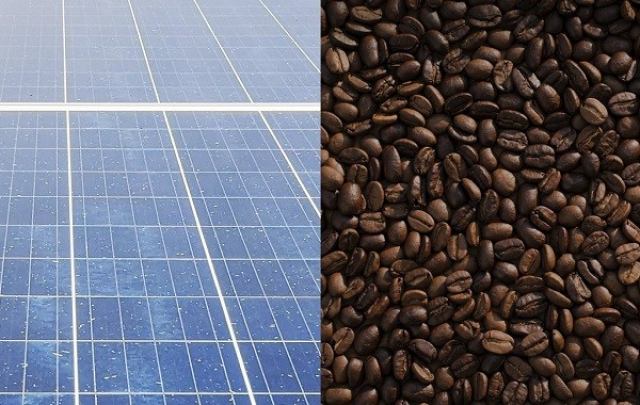 تقویت انرژی سلول های خورشیدی با کافئین