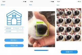 استارتاپ چینی، سیستمی برای تشخیص هویت سگ‌ها از طریق بینی طراحی کرده است