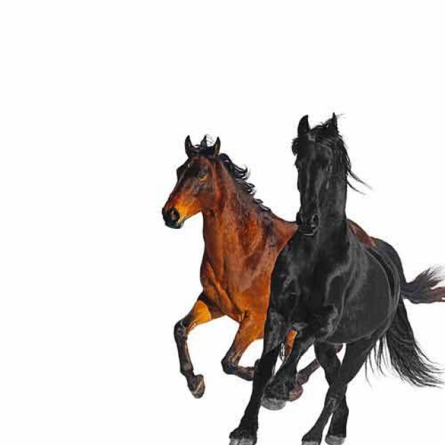 یووی دانلود نرم افزار , بازی , آهنگ و ...