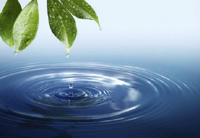 قمر بنیهاشم چه شد؟