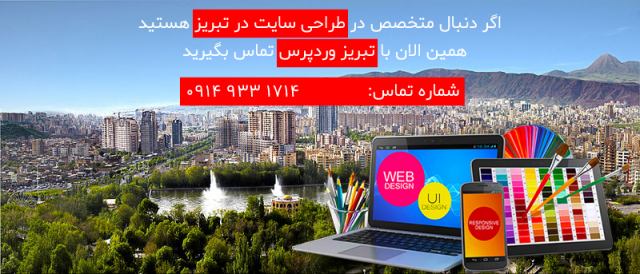 بهترین شرکت طراحی سایت در تبریز