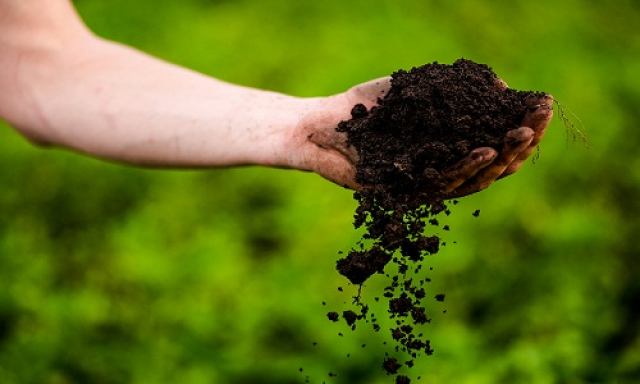 منابع آزمون دکتری مدیریت حاصل خیزی و زیست فناوری خاک