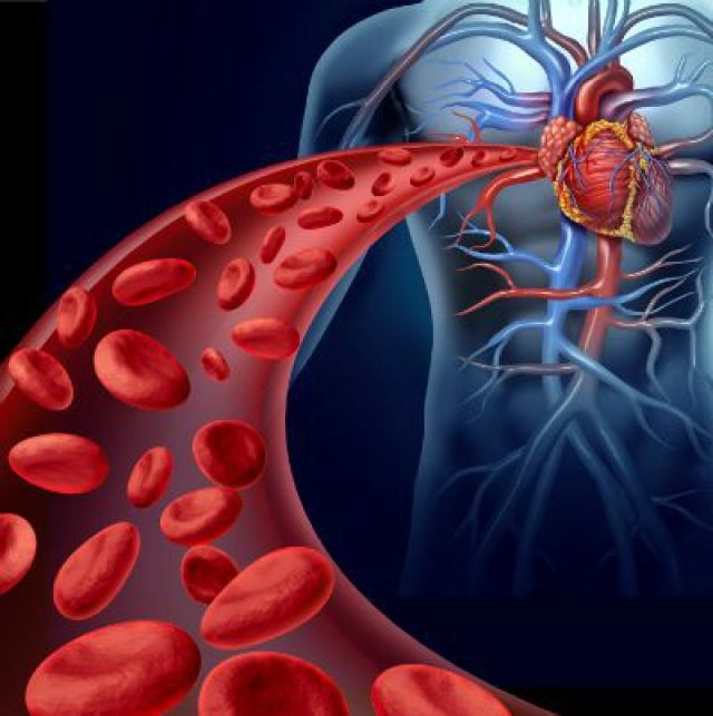 منابع آزمون دکتری ایمنی شناسی
