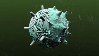 ‌‌ویروس ؛ ابزاری بیولوژیک برای ساخت نسل آینده باتری‌ جهان