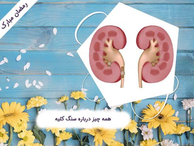 همه چیز درباره سنگ کلیه