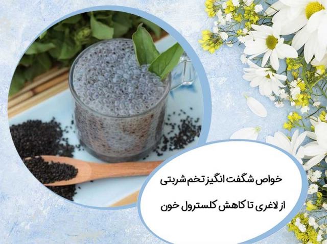 خواص شگفت انگیز تخم شربتی از لاغری تا کاهش کلسترول خون