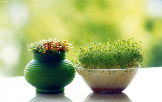 منابع کنکور سراسری ریاضی