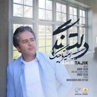 دانلود آهنگ جدید امیر تاجیک دلتنگی