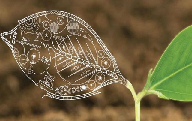 نمونه سوال زیست 2 یازدهم تجربی نوبت اول دی ماه با جواب