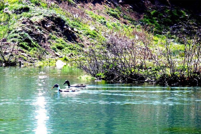 دریاچه گیلارلو