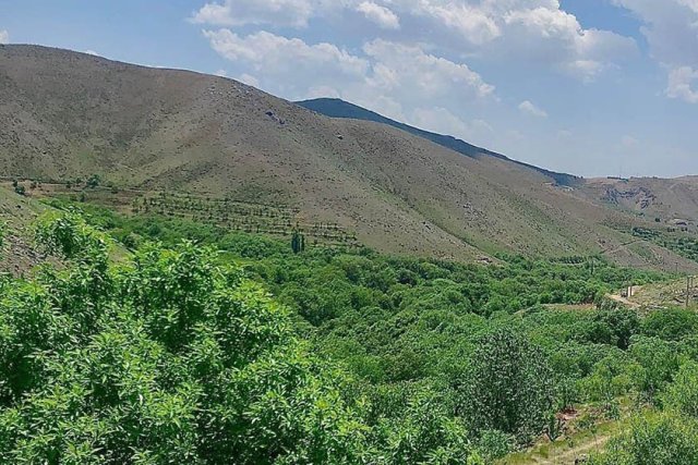 دره گزندر سرابی