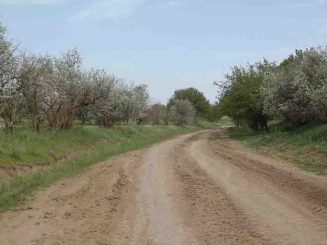 روستای ویر