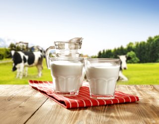 عوارض وجود آنتی بیوتیک در شیر چیست؟