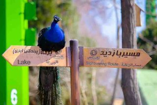 باغ پرندگان شهر اصفهان
