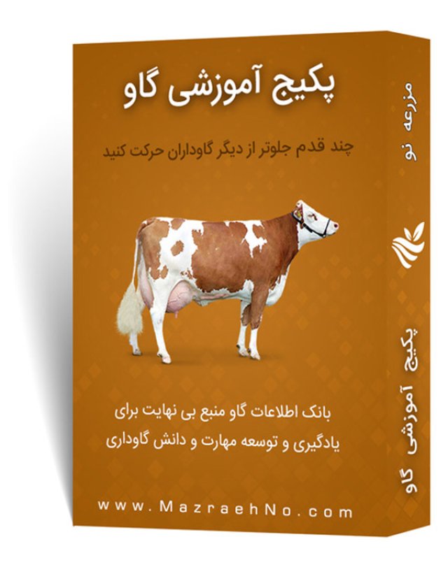 پکیج آموزش گاوداری (سنتی و صنعتی)