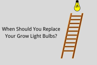 چگونه بفهمیم که لامپ های رشد گیاه نیاز به تعویض دارند؟