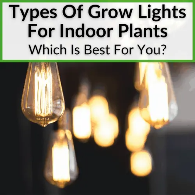 آشنایی با انواع لامپ رشد گیاه