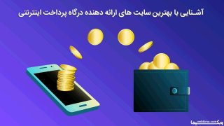 بهترین درگاه پرداخت واسط اینترنتی | درگاه های پرداخت اینترنتی واسط