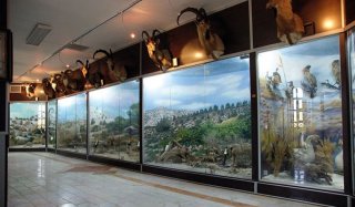 شرایط بازدید از موزه ژئو پارک قشم