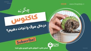 چگونه کاکتوس در حال مرگ را نجات دهیم؟