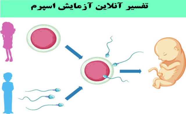 آزمایش اسپرم