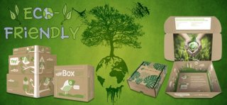 ظهور بسته بندی سبز: راه حل های پایدار برای آینده ای سبزتر